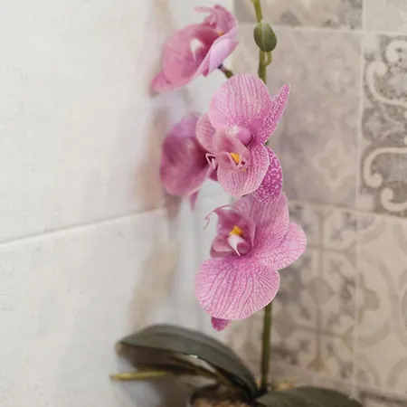 Casa Gisa Apartmán Olbia